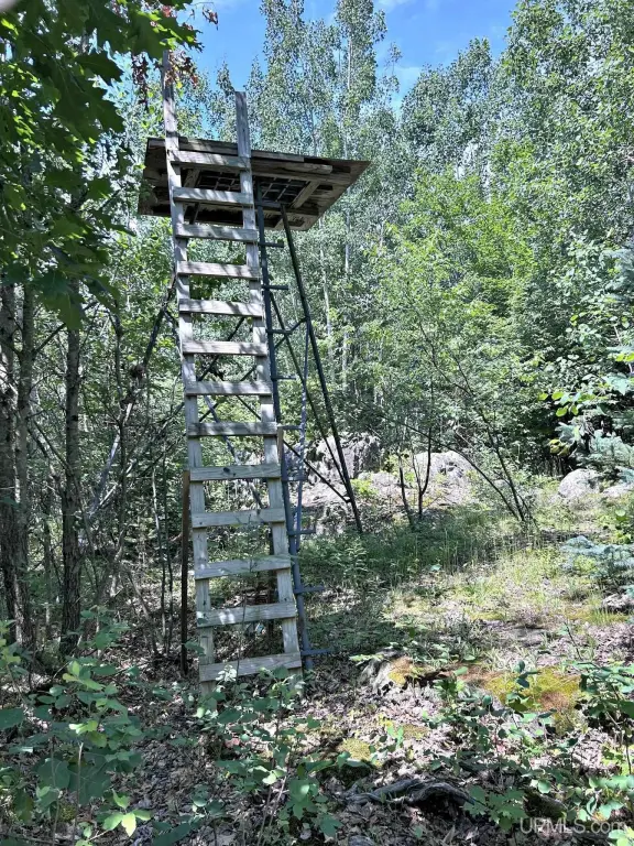 Picture 33
