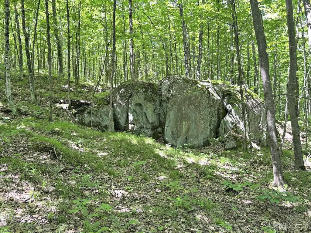 Picture 37