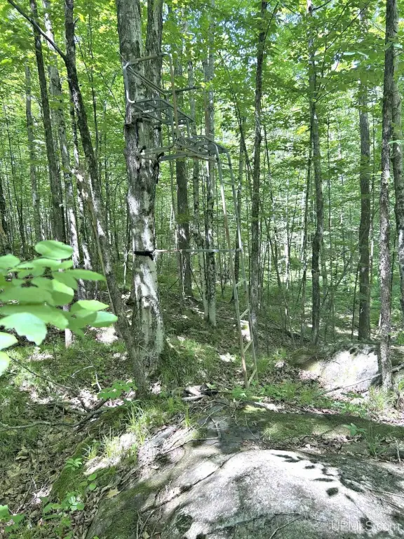 Picture 38