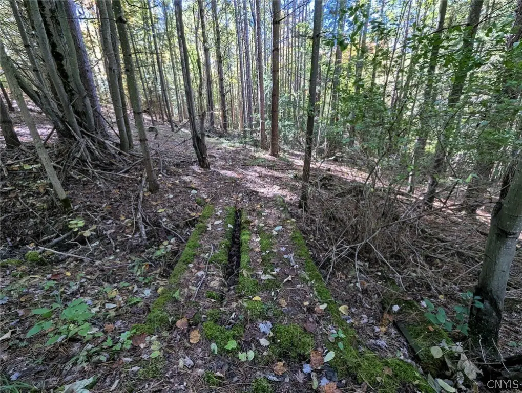 Picture 18