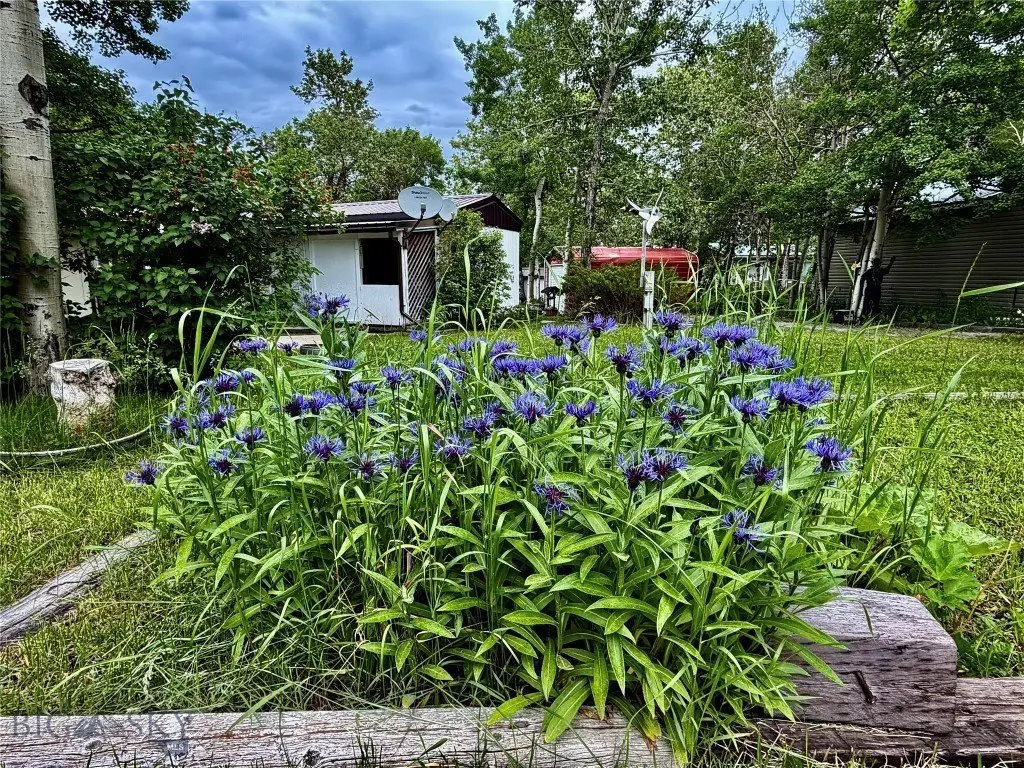 Picture 22