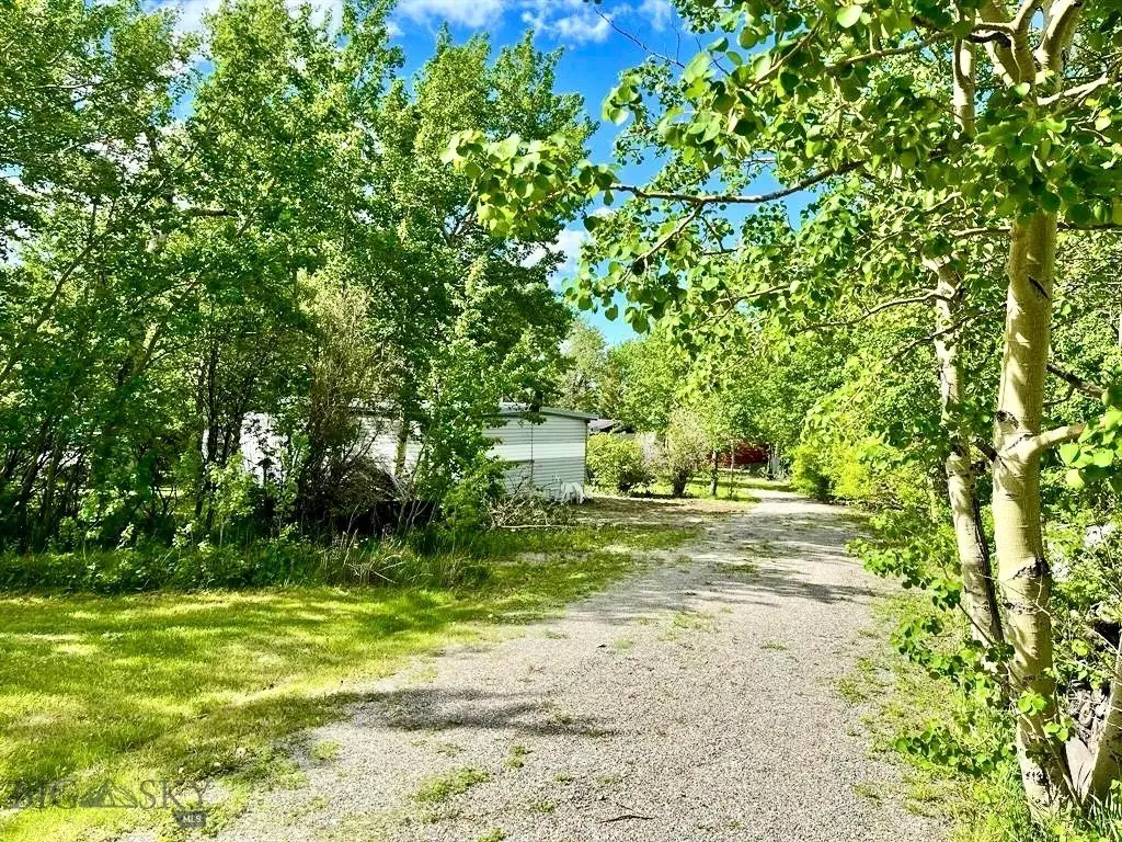 Picture 20