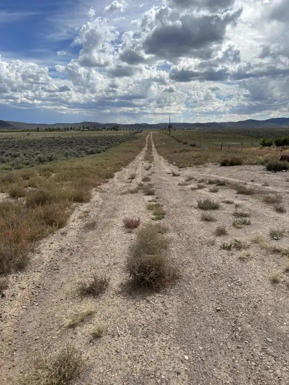 Picture 18