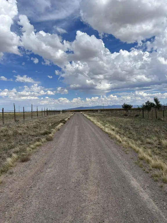 Picture 19