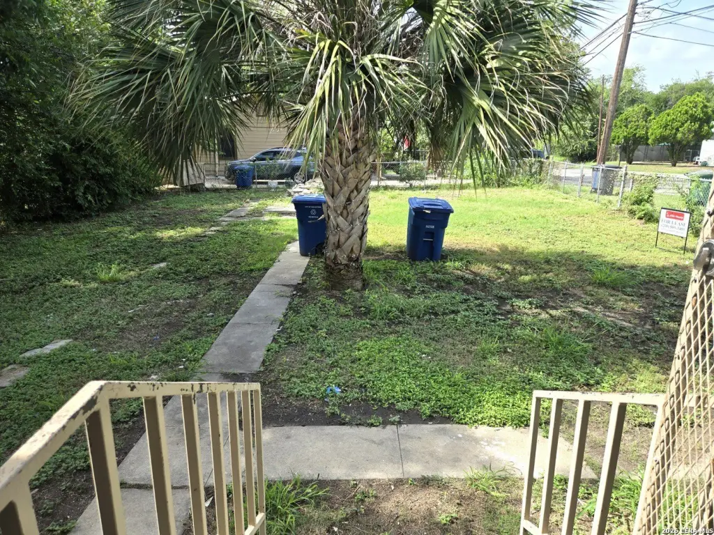 Picture 15