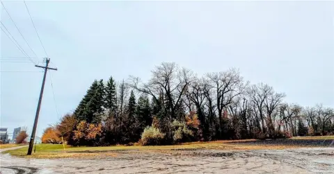 Two Acres Wooded Land