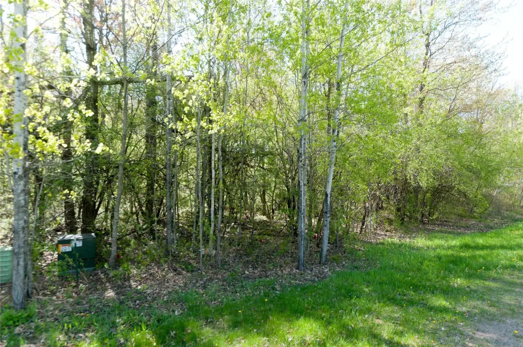 Picture 7