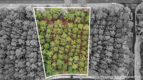 Residential Lot in Spring Cove