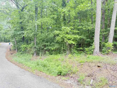 Scottsboro, AL Land Lot