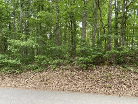 Buildable Lot Near Deerhead Lake