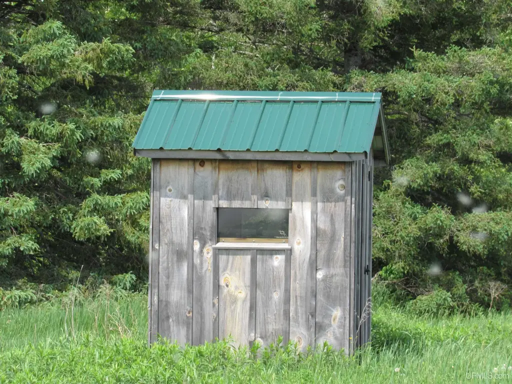 Picture 17