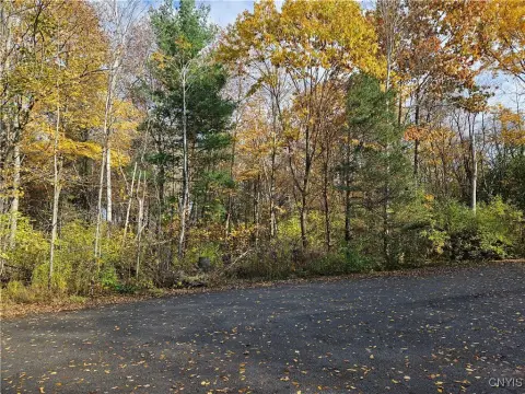 Wooded Lot Near Clayton Village