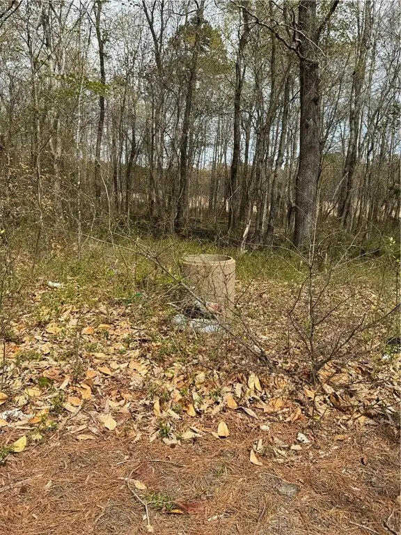 Picture 36