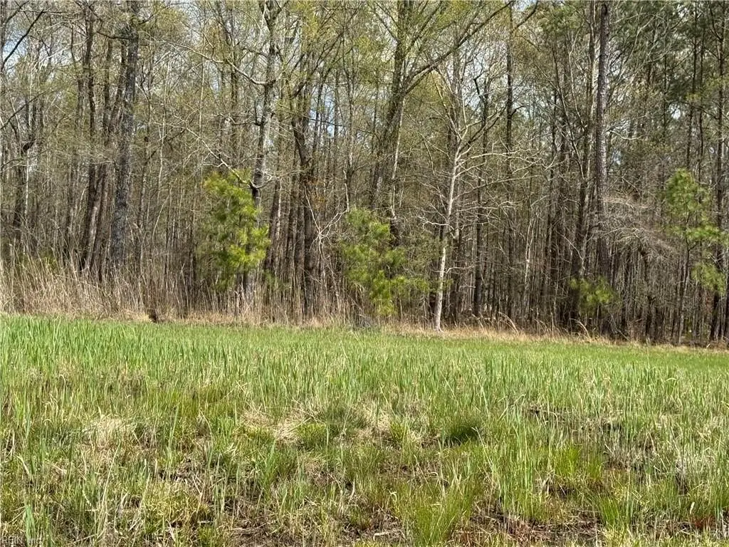 Picture 25