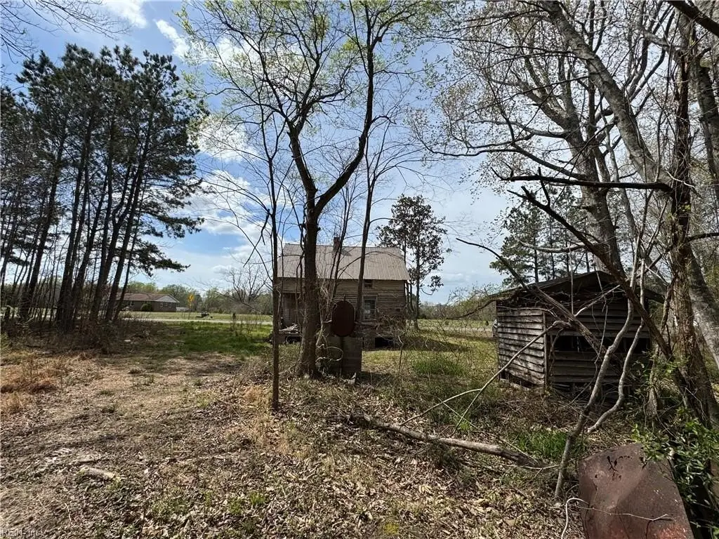 Picture 15