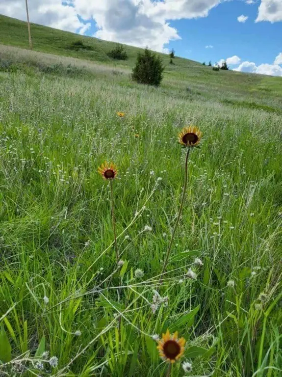 Picture 3