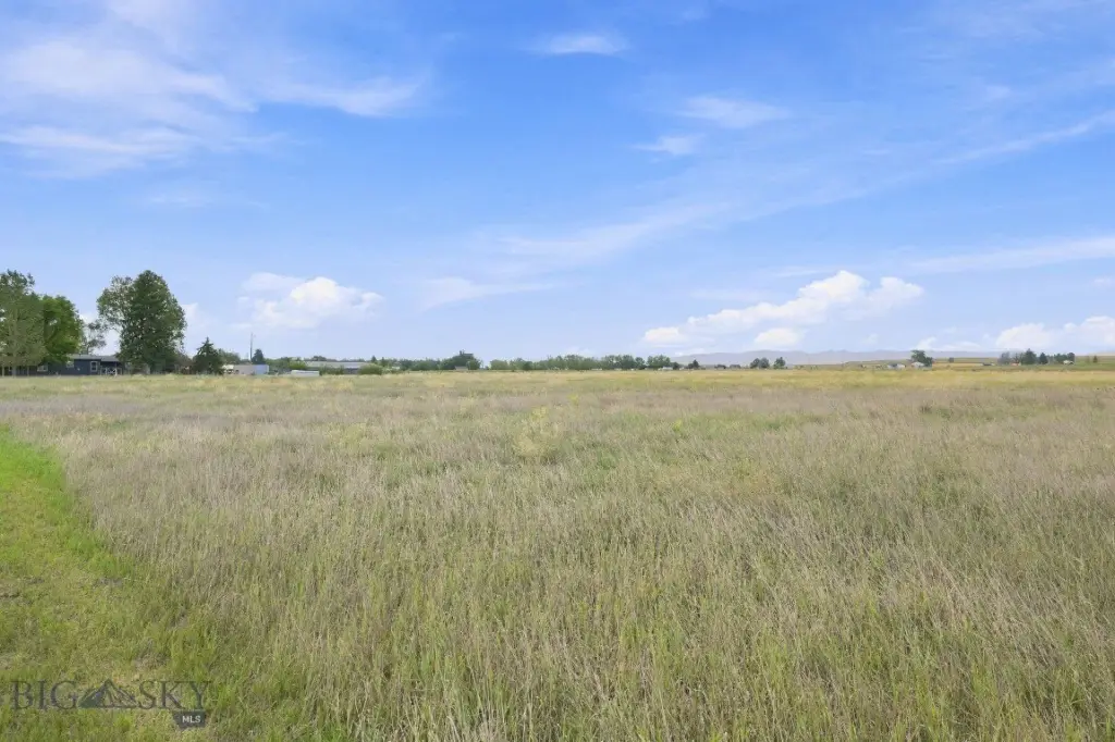 Picture 20