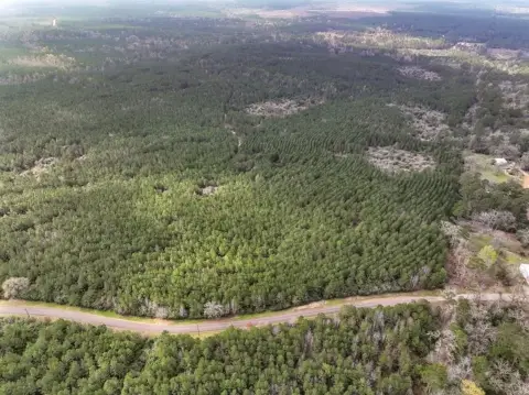 Latexo, TX Forested Land