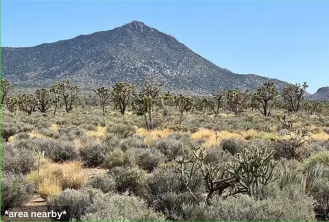 Meadview Land Bordering Public Land