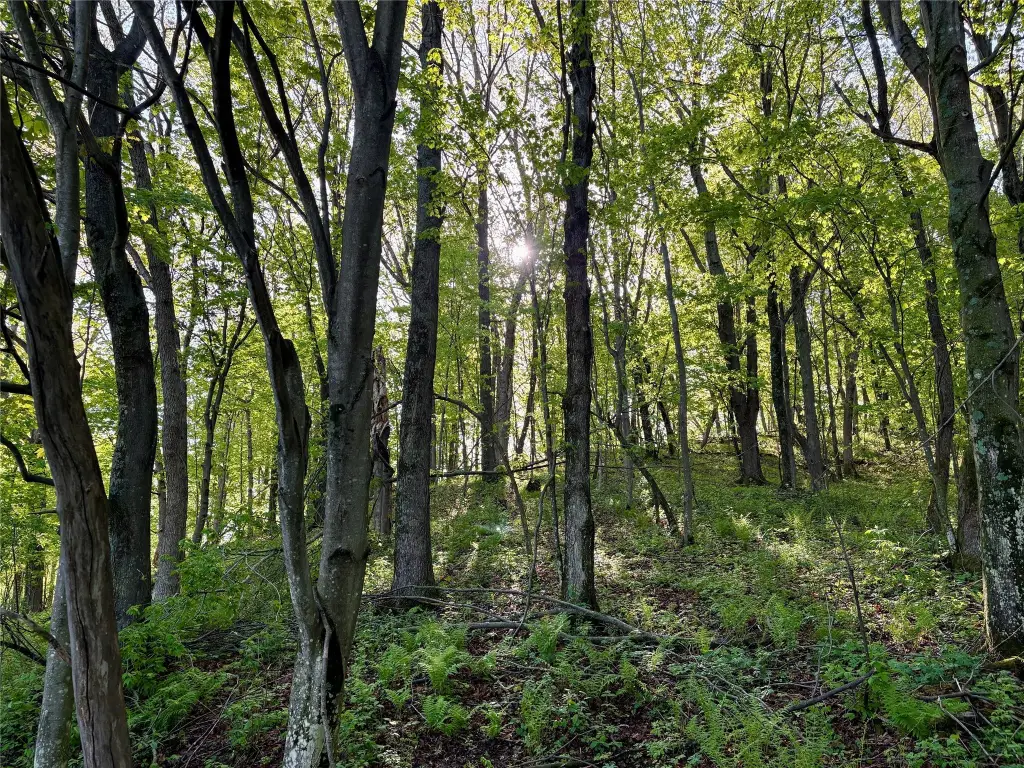 Picture 38