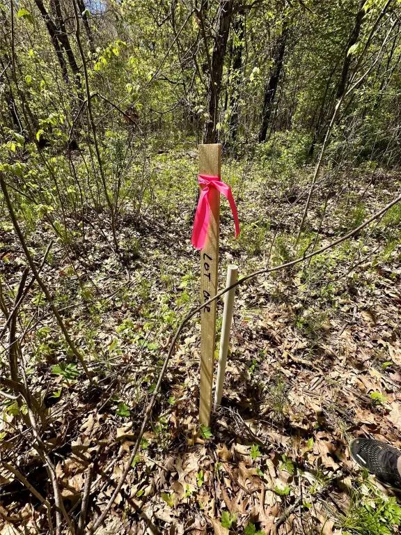 Picture 23