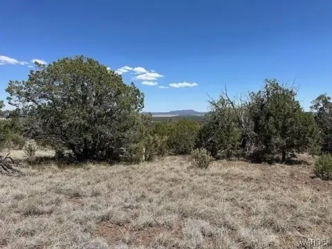 Seligman, AZ Off-Grid Acreage