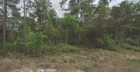 Land For Sale in Satsuma