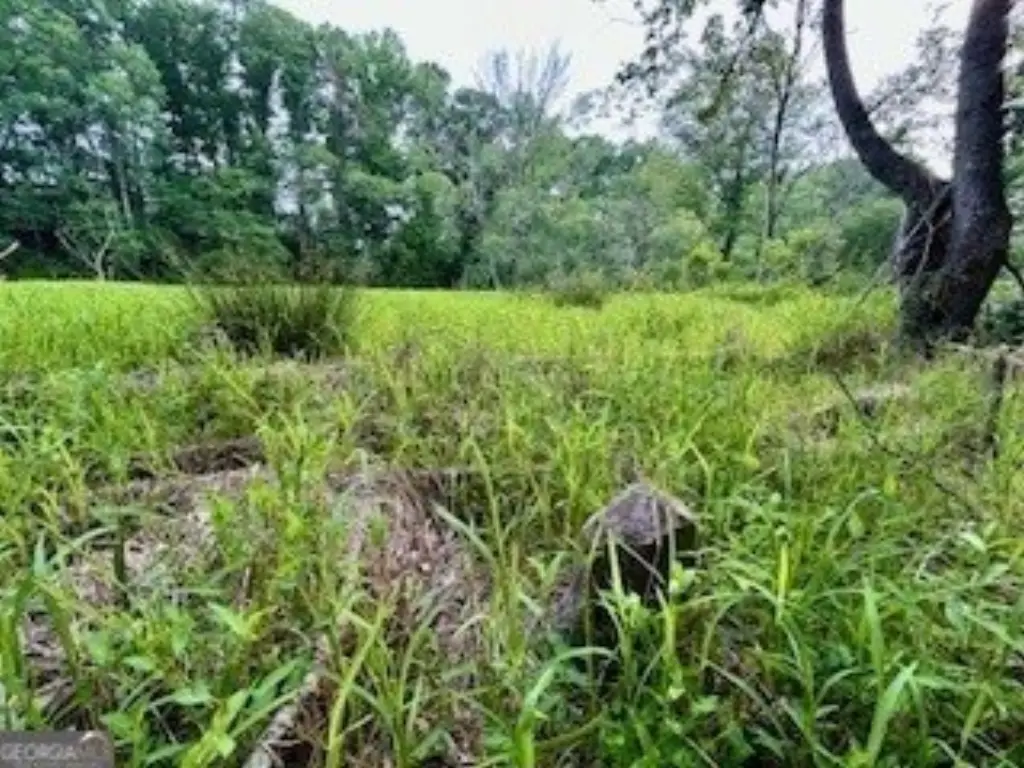 Picture 17
