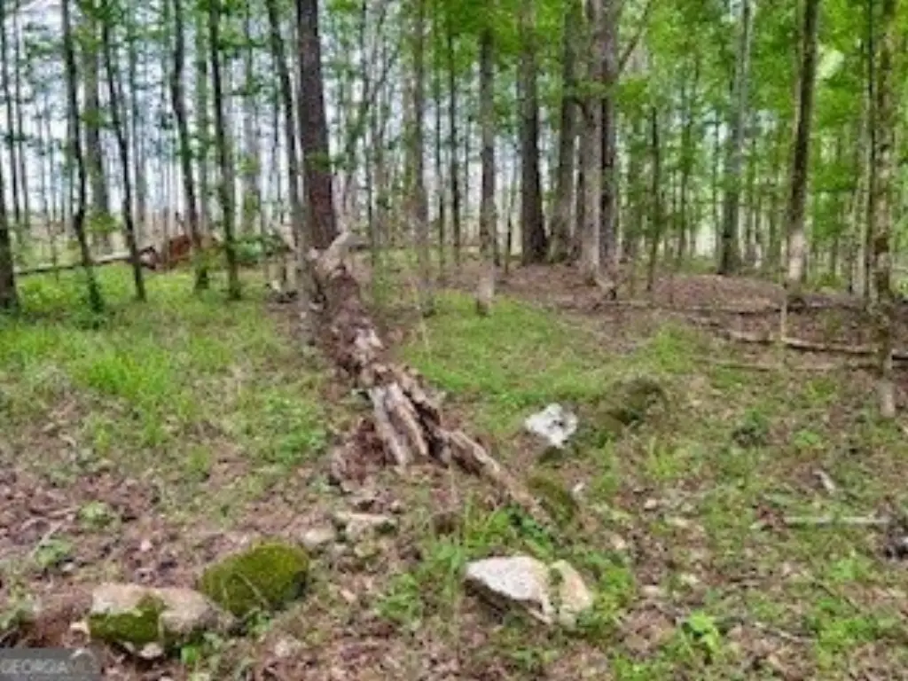 Picture 18