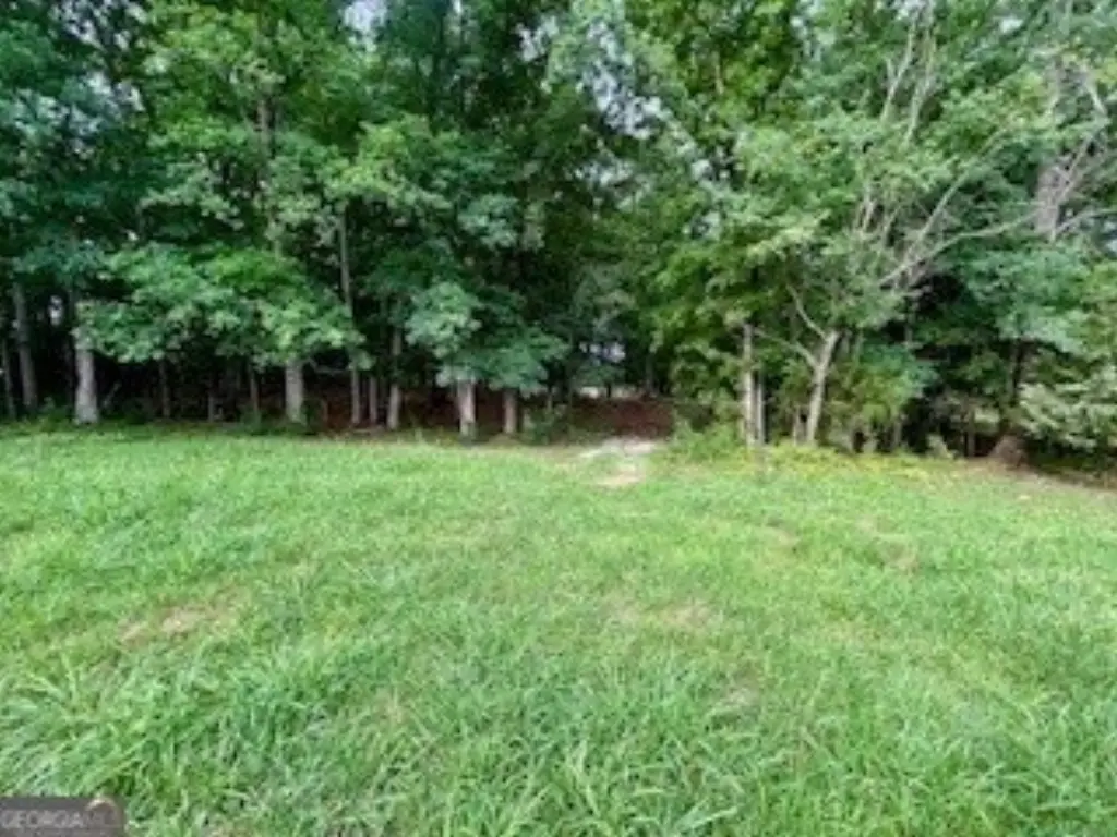 Picture 11