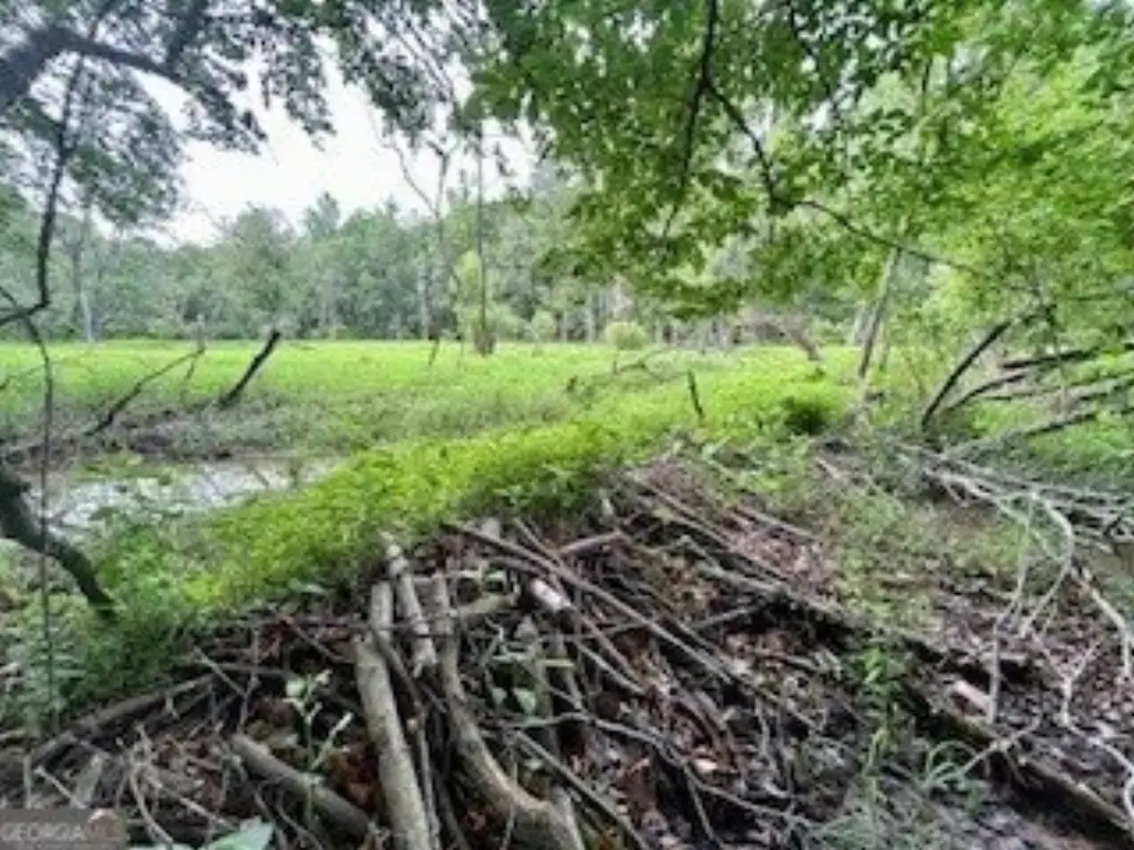 Picture 19