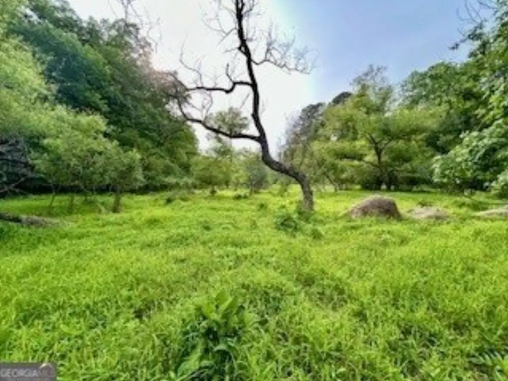 Picture 15