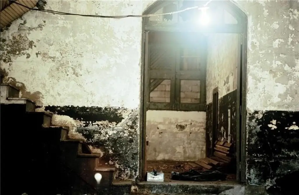 Picture 25