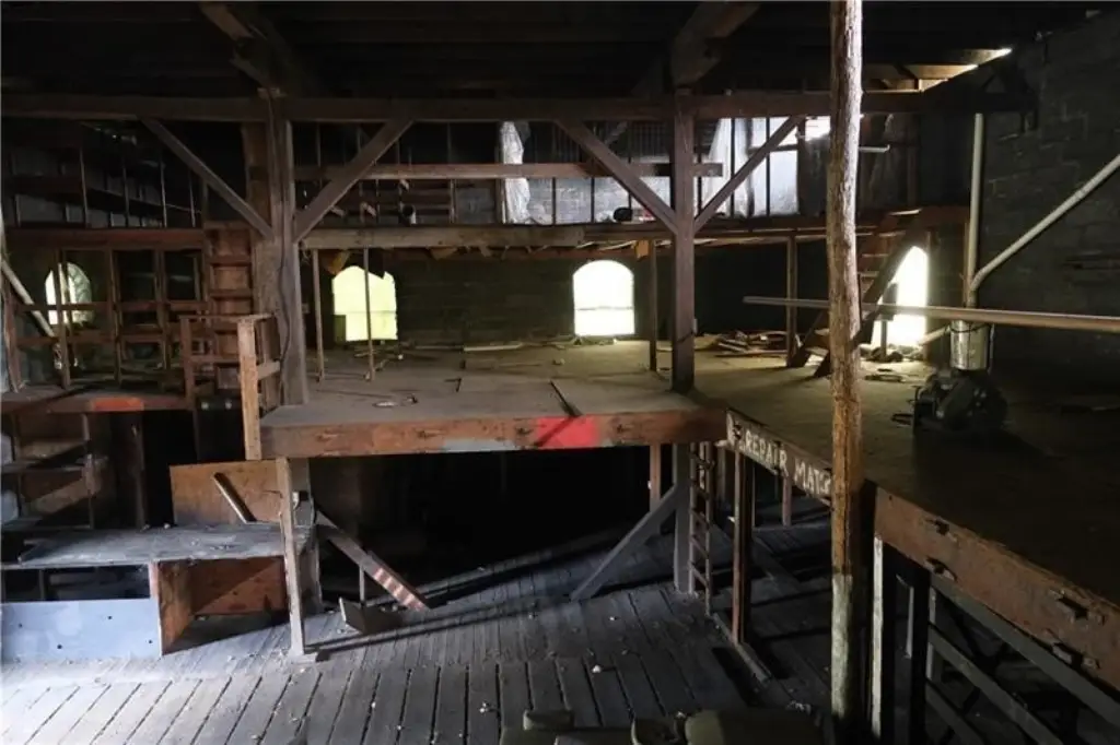 Picture 21