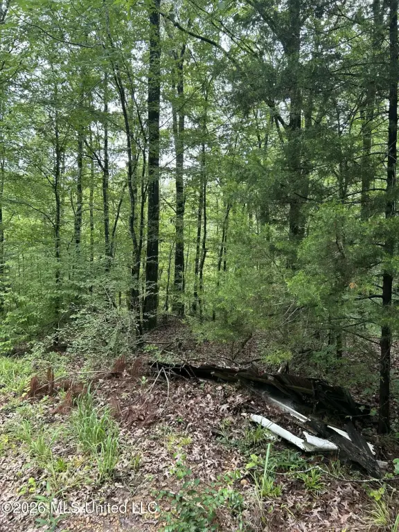 Picture 18