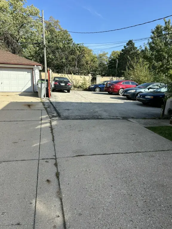 Picture 3