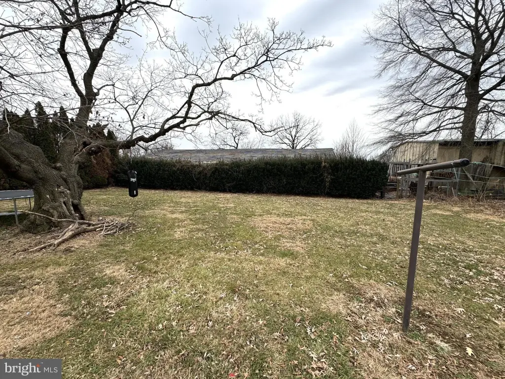 Picture 5