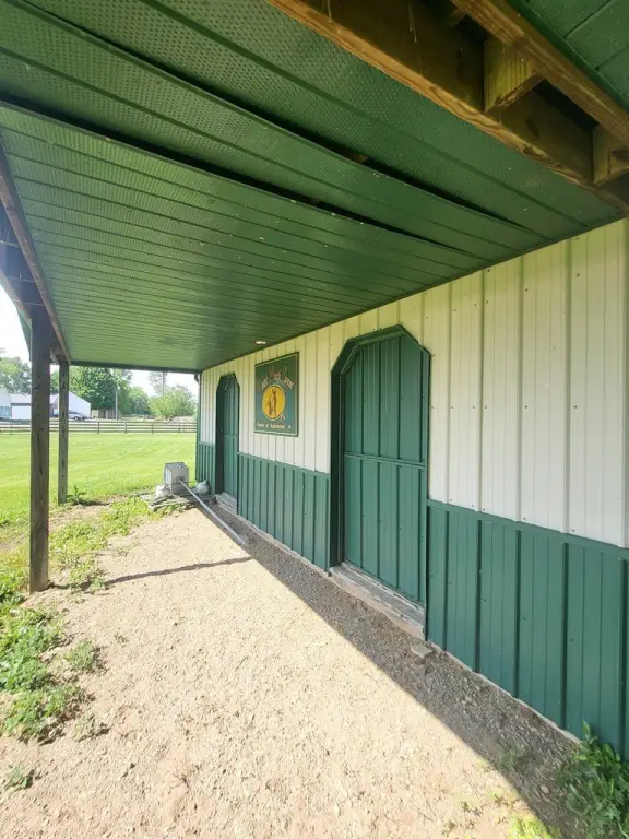 Picture 9