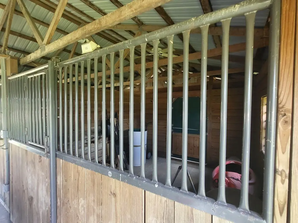 Picture 11