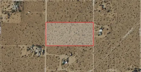 Expansive Joshua Tree Desert Lot
