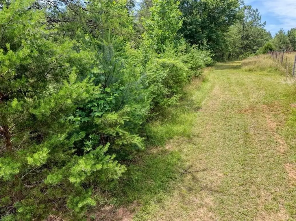 Picture 17