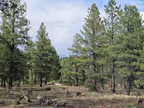 Pagosa Springs Residential Land