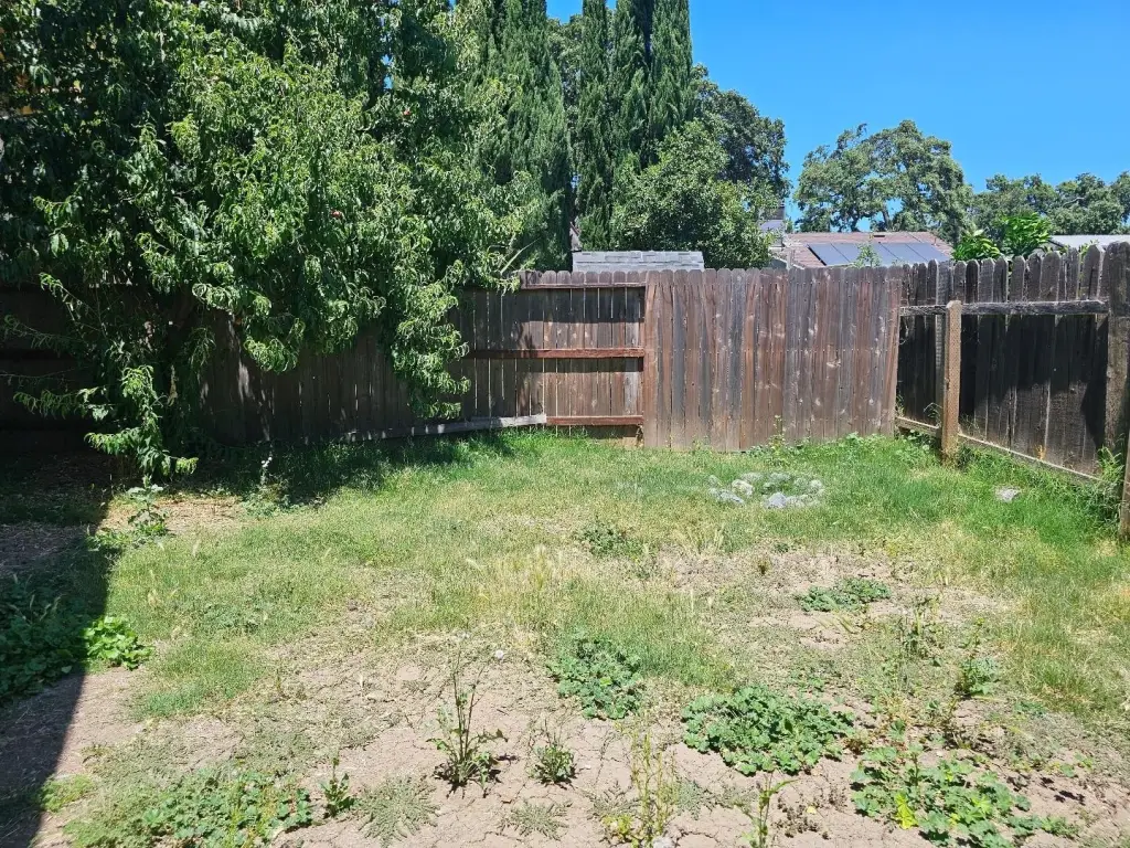 Picture 14