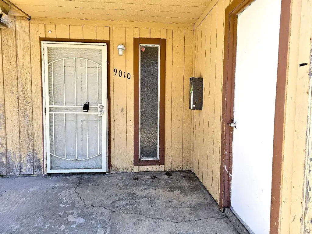 Picture 6