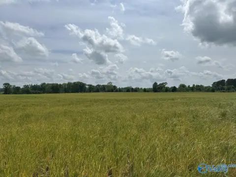 28 Acres Farm in Lexington, AL