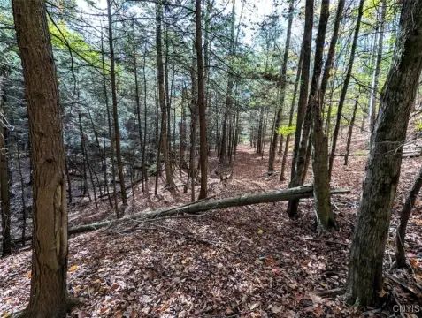 9 Acres of Recreational Land