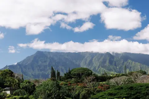 Kapaa Land with Waiale'ale View