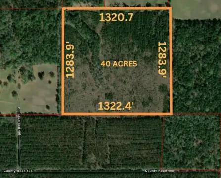 Cleared 40 Acres in Kirbyville