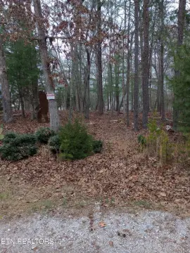 Level Lot in Crossville, TN