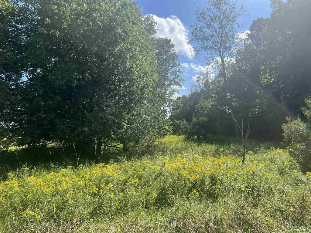Picture 23